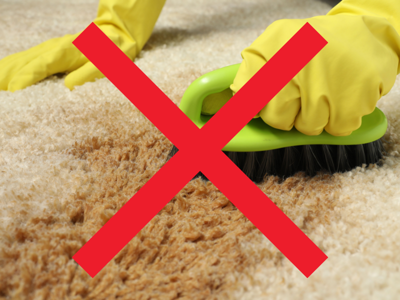Image from our cleaning services